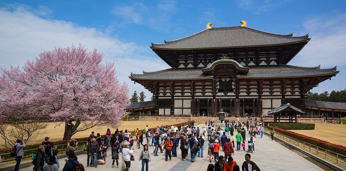 things-to-do-in-nara-japan